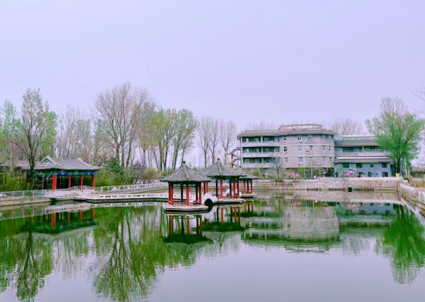 國賢BIC學(xué)部