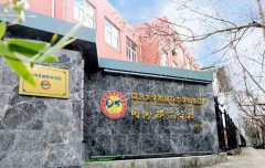 TICC存志學(xué)校(原同洲米德)2022春招校園開放日報(bào)名