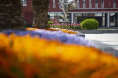 2026年上海市世外中學(xué)春招時(shí)間、招生對(duì)象、筆面試內(nèi)容、學(xué)費(fèi)